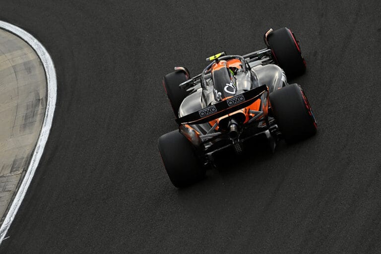 Norris Piastri Battle Wind at Hungarian GP Qualifying